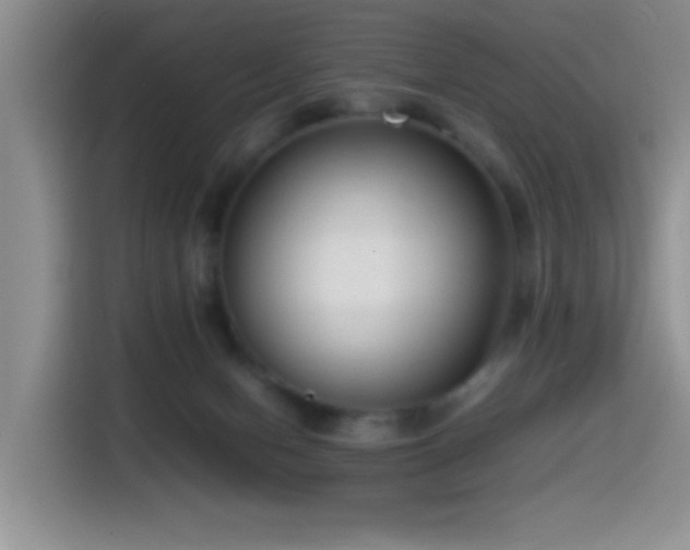 X0000115540078200911061509