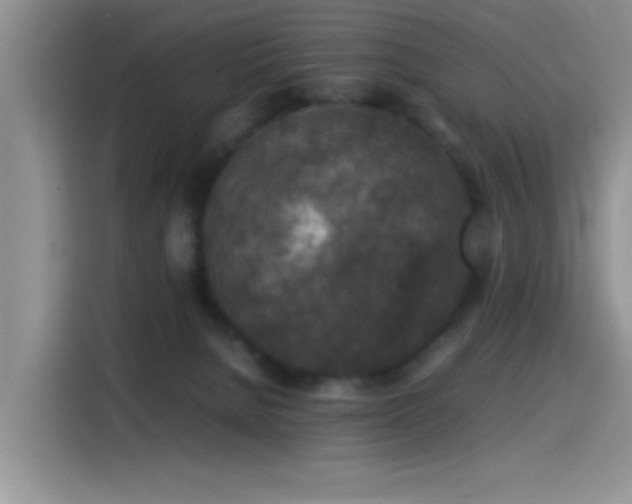 X0000115540080200911061509