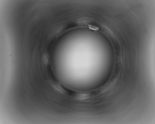 X0000115540081200911061509