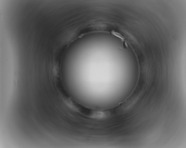 X0000115540083200911061509