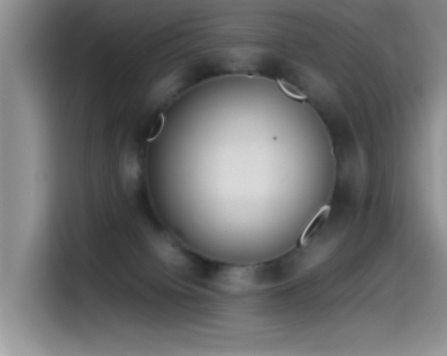 X0000115540084200911061509