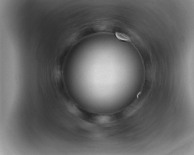 X0000115540085200911061509