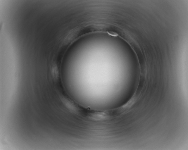 X0000115540086200911061509