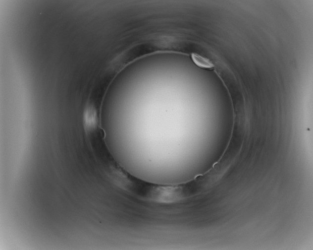 X0000115540089200911061509