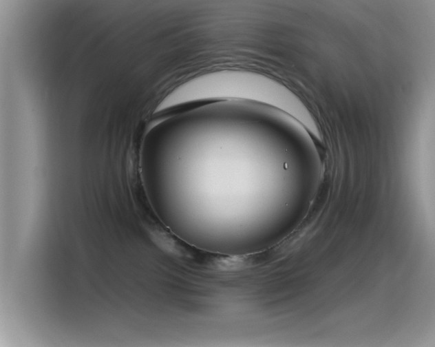 X0000115540092200911061509