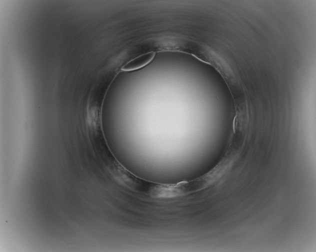 X0000115540093200911061509