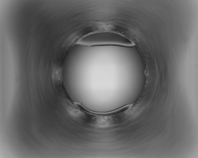 X0000115540096200911061509