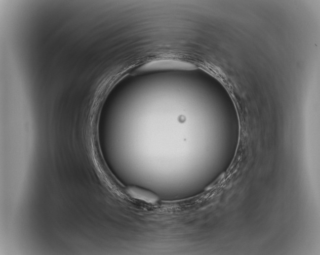 X0000115540097200911061508