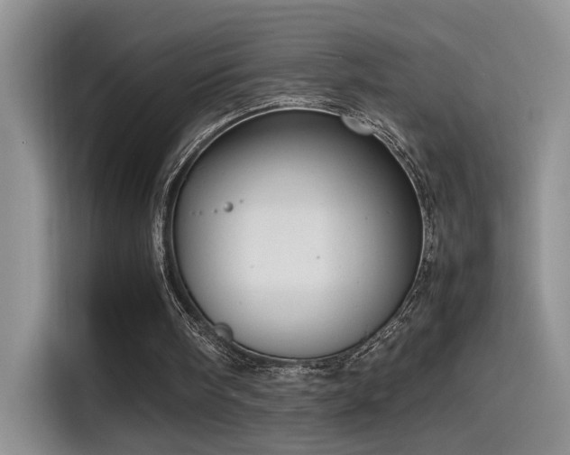 X0000115540098200911061508