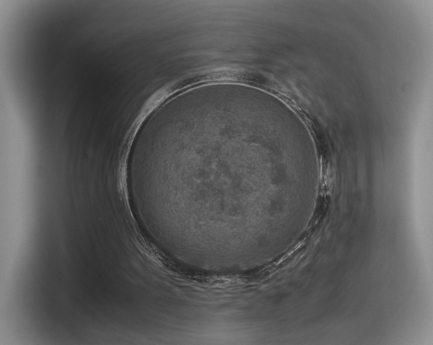 X0000115540099200911061508