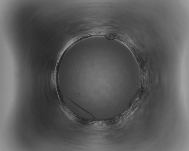 X0000115540100200911061508