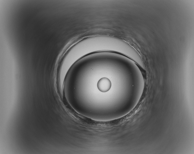 X0000115540101200911061508