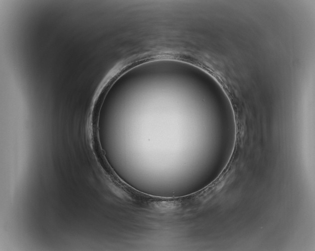 X0000115540102200911061508