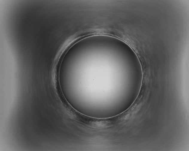 X0000115540103200911061508