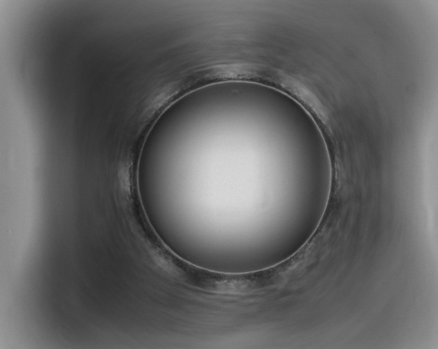 X0000115540105200911061508