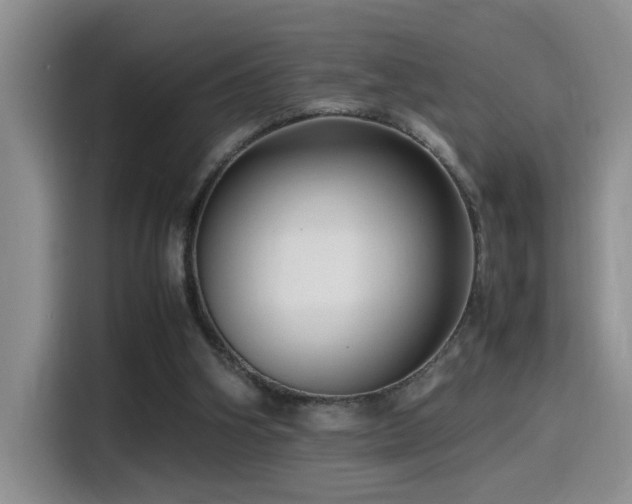 X0000115540106200911061508