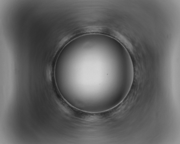 X0000115540107200911061508