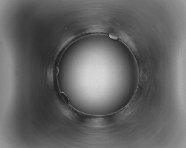 X0000115540108200911061508