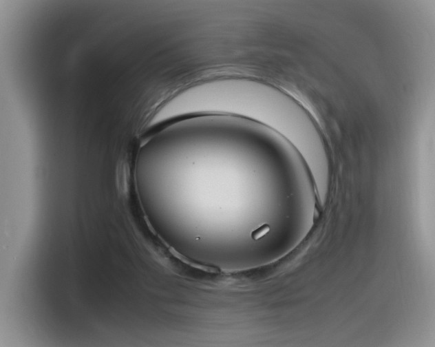 X0000115540109200911061508