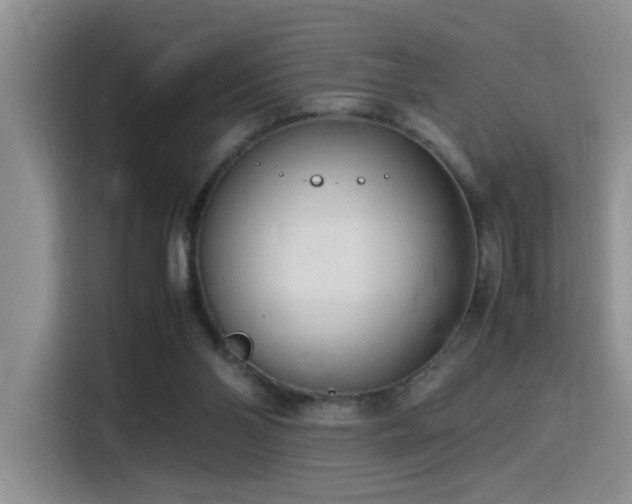 X0000115540110200911061508