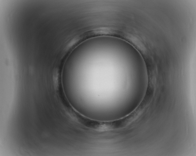 X0000115540111200911061508