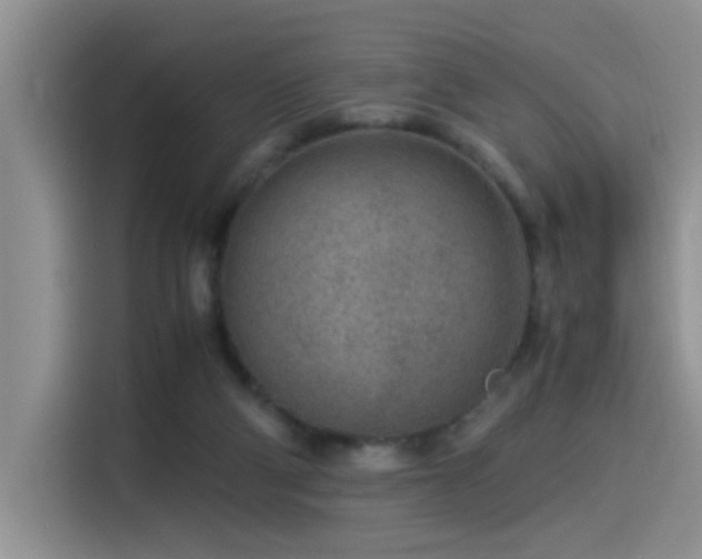 X0000115540114200911061508