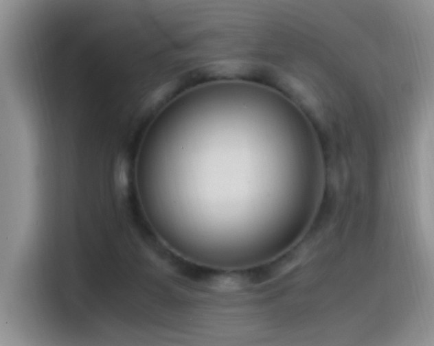 X0000115540115200911061508