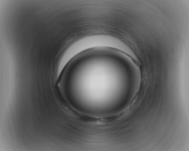 X0000115540116200911061508