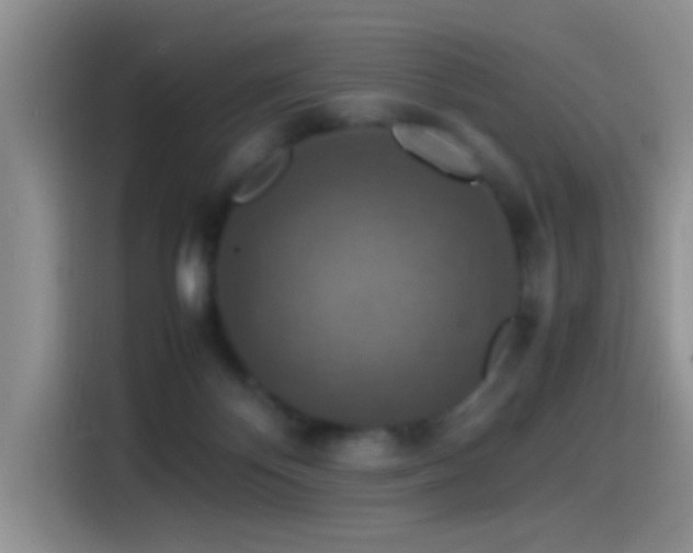 X0000115540124200911061508