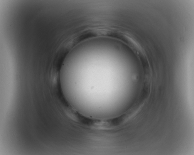 X0000115540125200911061508