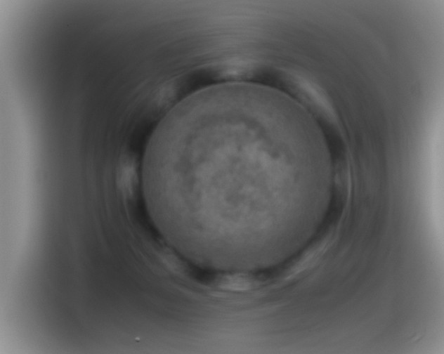 X0000115540127200911061508