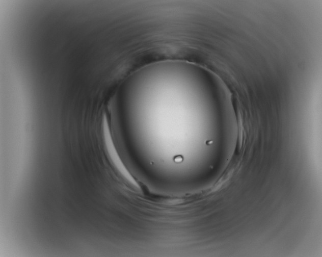 X0000115540132200911061508