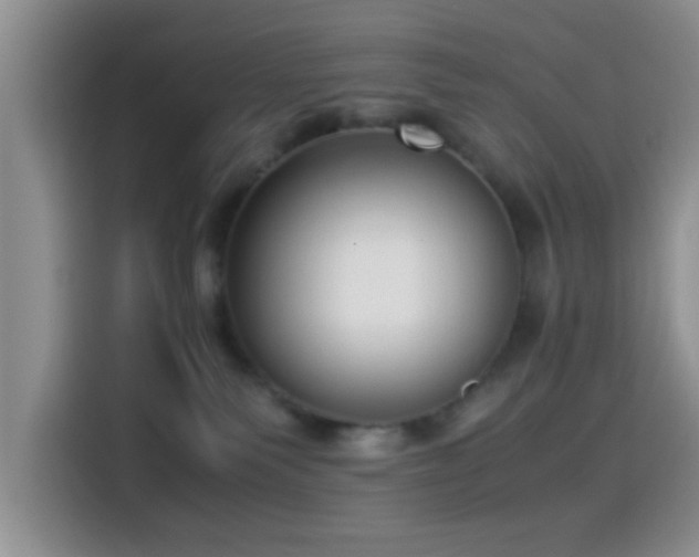 X0000115540135200911061508