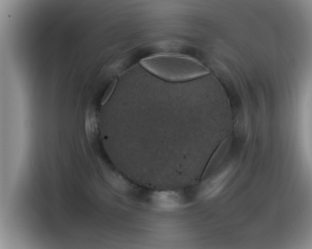 X0000115540137200911061508