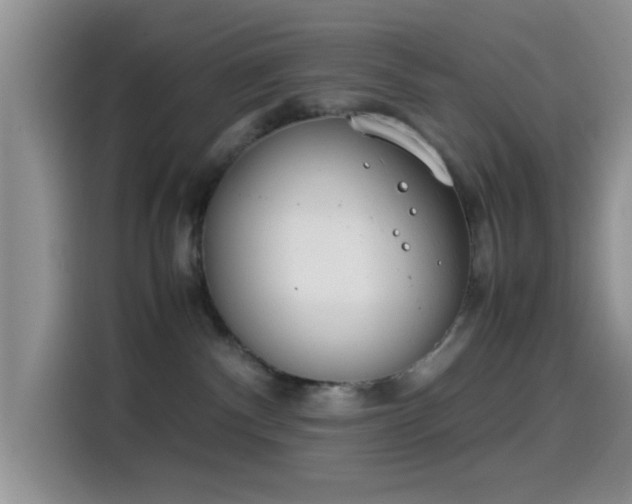 X0000115540140200911061508