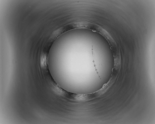 X0000115540142200911061507