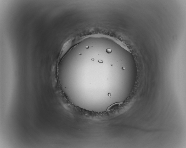 X0000115540144200911061507