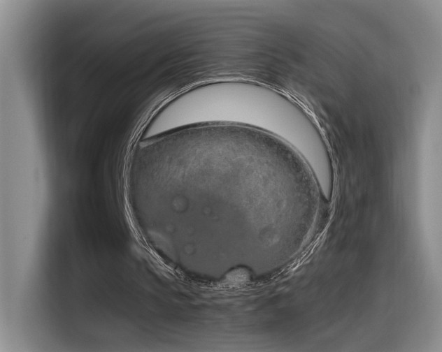 X0000115540145200911061507