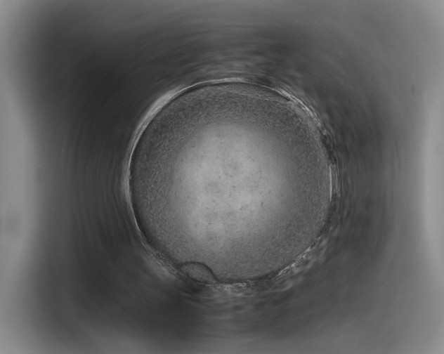 X0000115540147200911061507