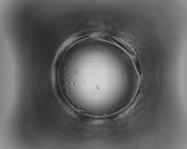 X0000115540149200911061507