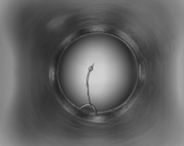 X0000115540157200911061507