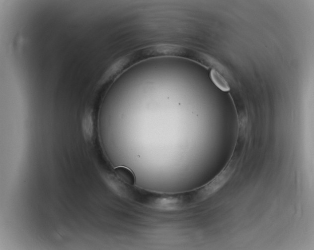 X0000115540158200911061507