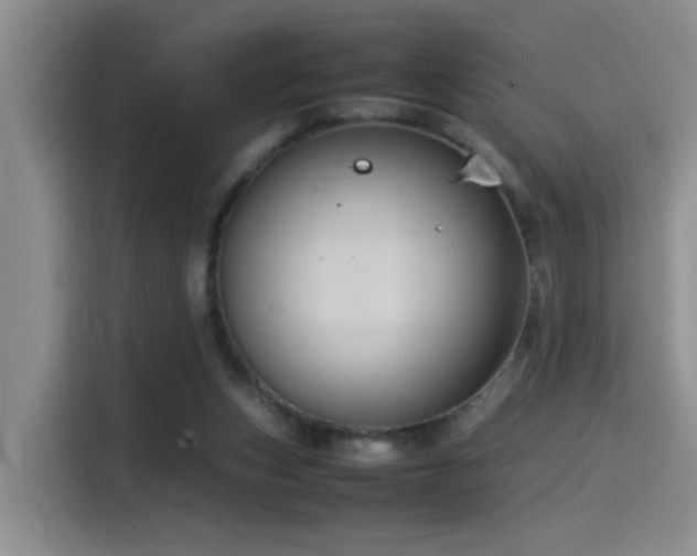 X0000115540159200911061507