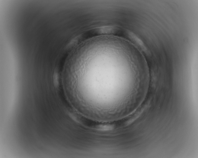 X0000115540161200911061507