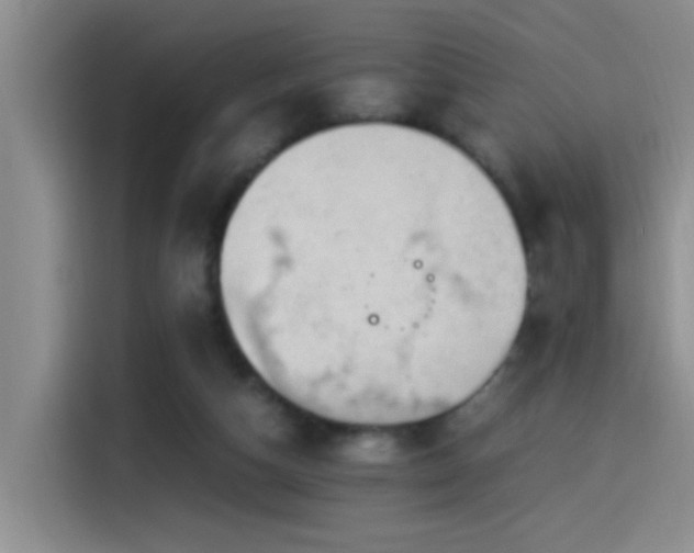 X0000115540162200911061507