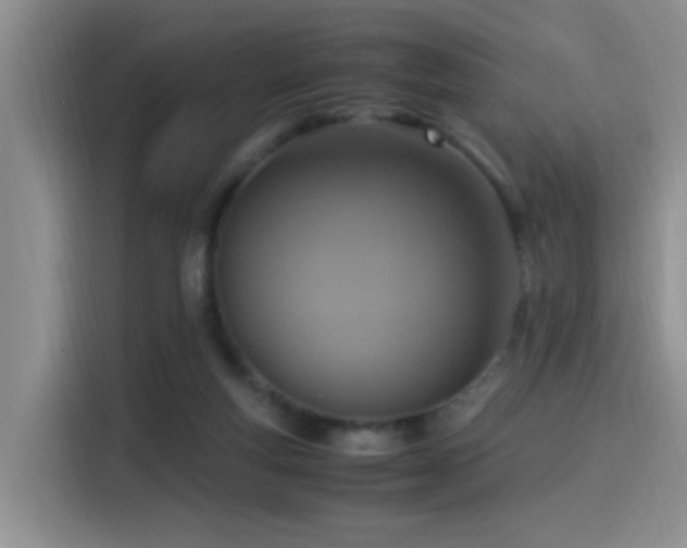 X0000115540163200911061507