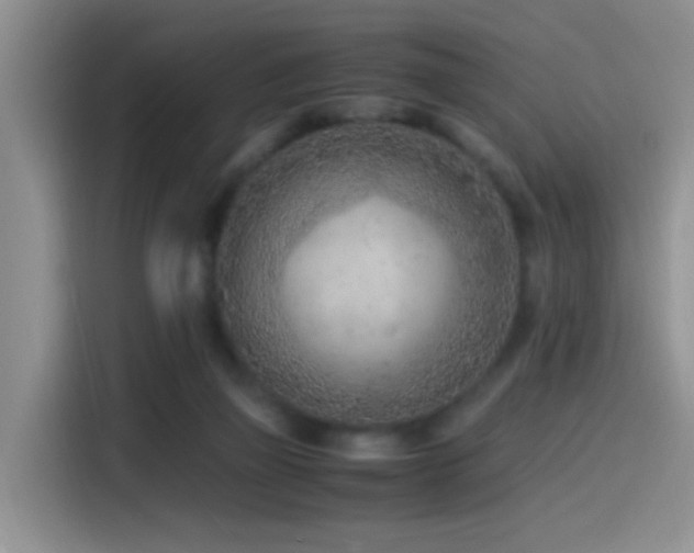 X0000115540165200911061507