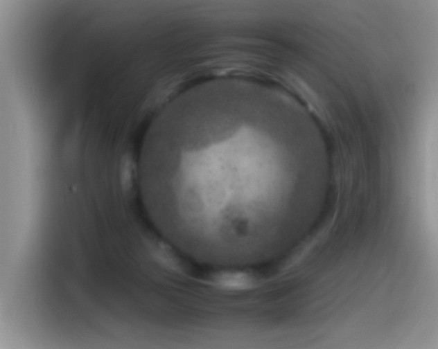 X0000115540169200911061507