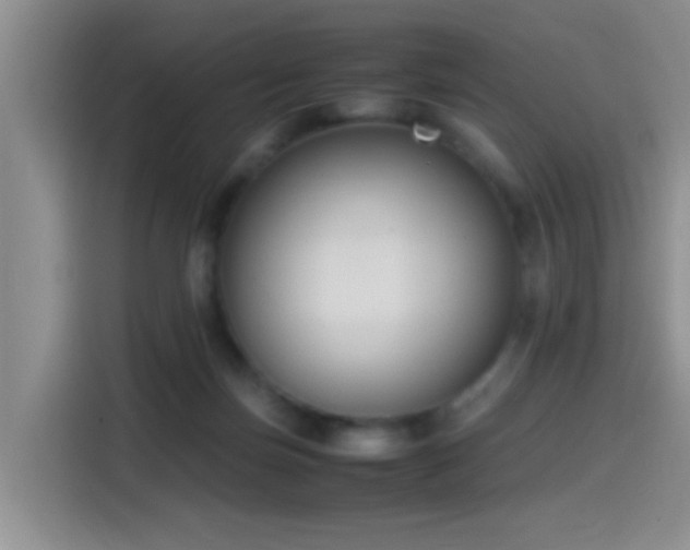 X0000115540171200911061507