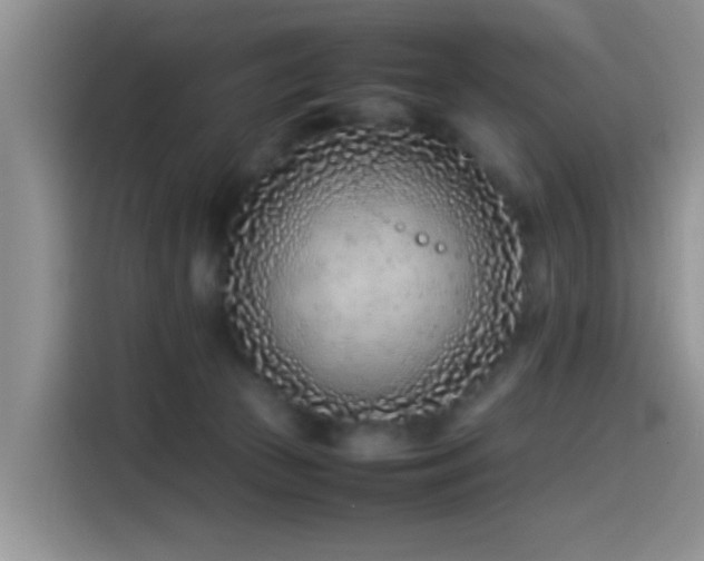 X0000115540177200911061507